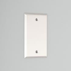 Blank Plate [Stainless]