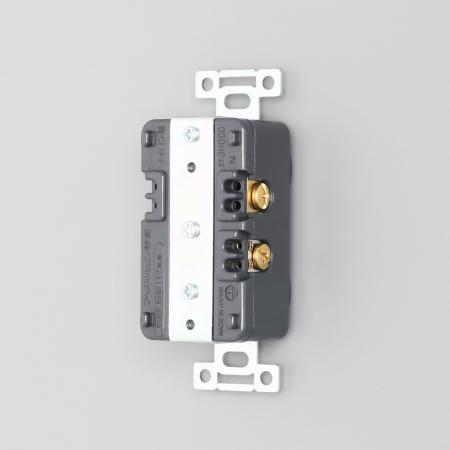 Duplex Receptacle (Combination)