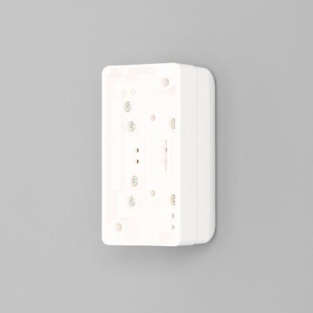 Duplex Surface Receptacle