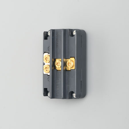 Panel Mount Duplex Outlet