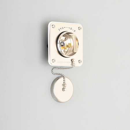 Waterproof Flanged Inlet (Dust & Jet Proof)