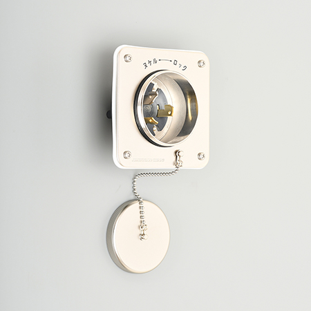 Waterproof Flanged Inlet (Dust & Jet Proof)