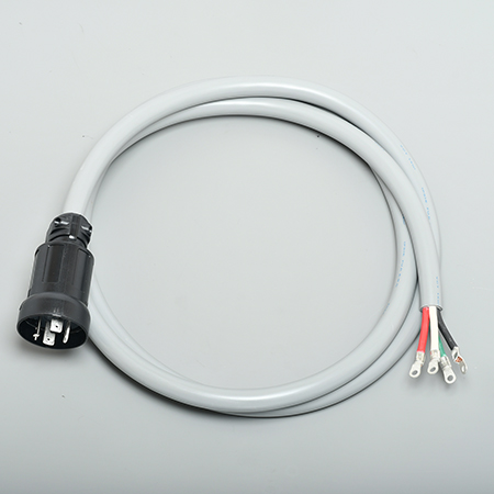 60A Plug with Cable