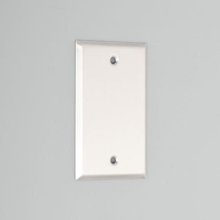 Blank Plate [Stainless]